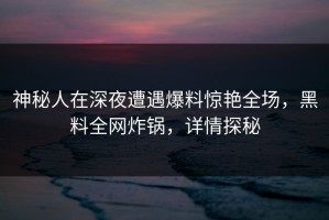神秘人在深夜遭遇爆料惊艳全场，黑料全网炸锅，详情探秘
