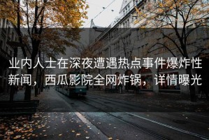业内人士在深夜遭遇热点事件爆炸性新闻，西瓜影院全网炸锅，详情曝光