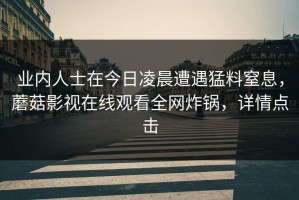 业内人士在今日凌晨遭遇猛料窒息，蘑菇影视在线观看全网炸锅，详情点击