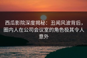 西瓜影院深度揭秘：丑闻风波背后，圈内人在公司会议室的角色极其令人意外