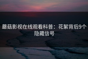 蘑菇影视在线观看科普：花絮背后9个隐藏信号