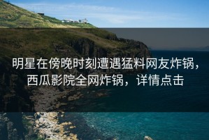 明星在傍晚时刻遭遇猛料网友炸锅，西瓜影院全网炸锅，详情点击