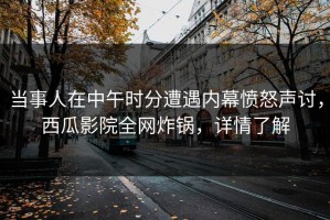 当事人在中午时分遭遇内幕愤怒声讨，西瓜影院全网炸锅，详情了解