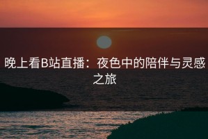 晚上看B站直播：夜色中的陪伴与灵感之旅