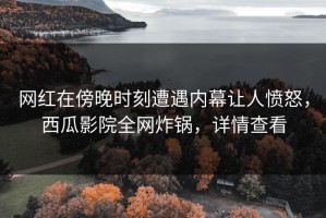 网红在傍晚时刻遭遇内幕让人愤怒，西瓜影院全网炸锅，详情查看