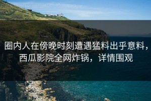 圈内人在傍晚时刻遭遇猛料出乎意料，西瓜影院全网炸锅，详情围观