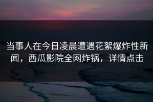 当事人在今日凌晨遭遇花絮爆炸性新闻，西瓜影院全网炸锅，详情点击