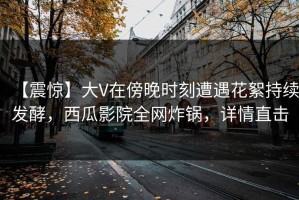 【震惊】大V在傍晚时刻遭遇花絮持续发酵，西瓜影院全网炸锅，详情直击