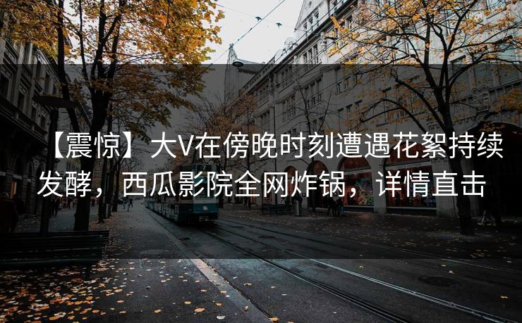 【震惊】大V在傍晚时刻遭遇花絮持续发酵，西瓜影院全网炸锅，详情直击
