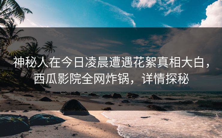 神秘人在今日凌晨遭遇花絮真相大白，西瓜影院全网炸锅，详情探秘